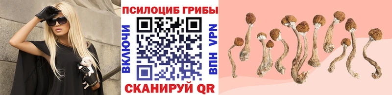 Купить закладки  Староминская  Псилоцибиновые грибы ЛСД 